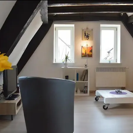 Apartment Bretzel & Raisin - Hypercentre De Colmar